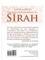 Principles for Understanding Sirah PB